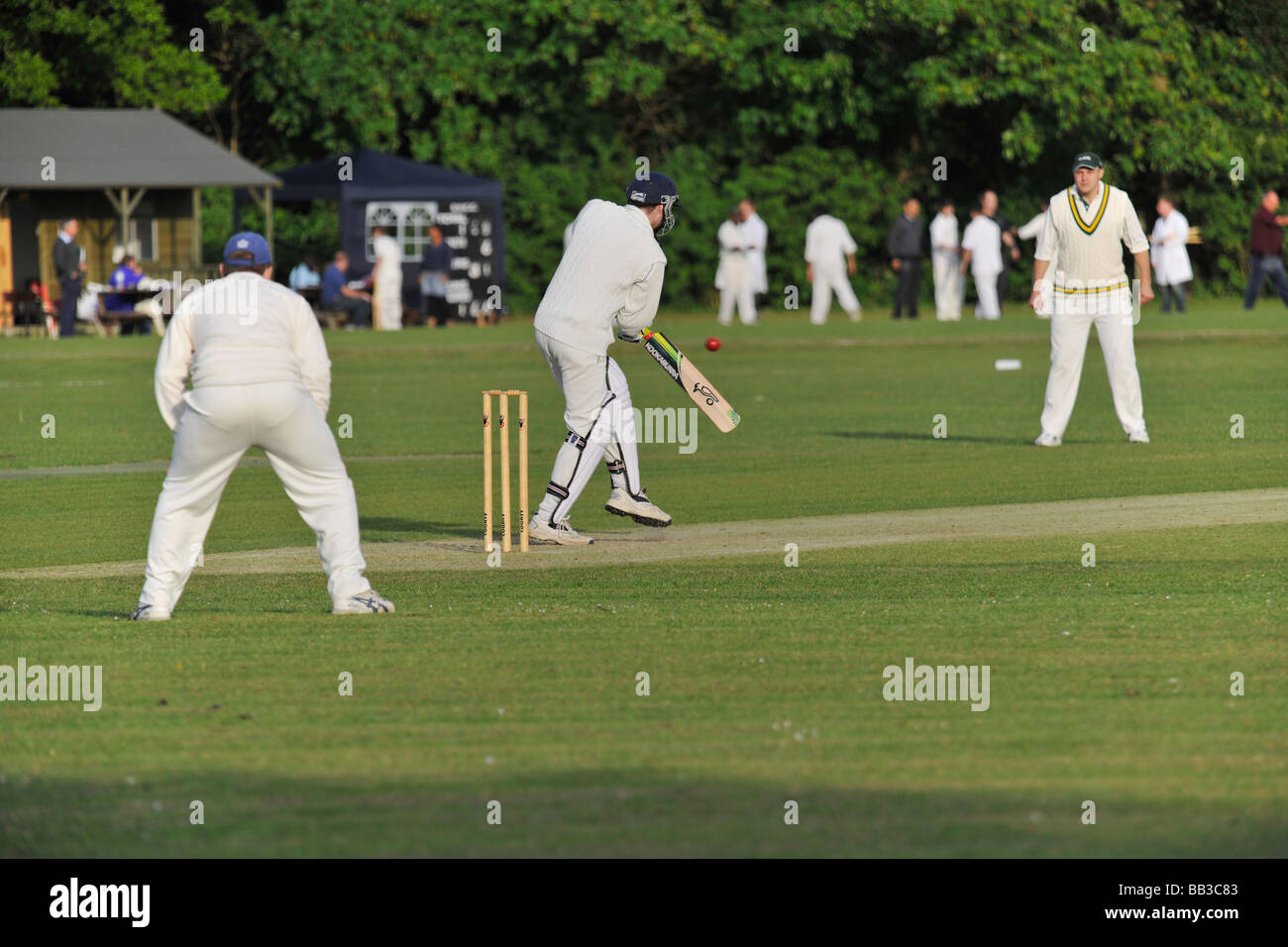 Défendant son batteur wicket Banque D'Images