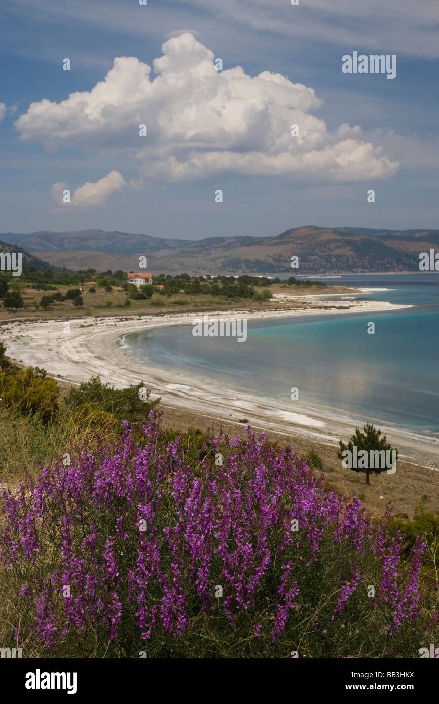 Moyen Orient Turquie Soda Lake et de fleurs sauvages sur la route de l'ouest à Kusadasi Banque D'Images