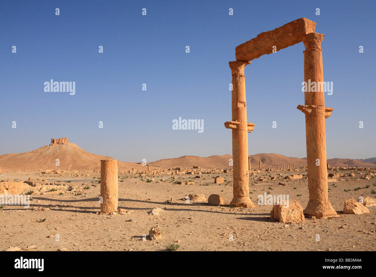 Ruines antiques, Palmyra, Syrie Banque D'Images
