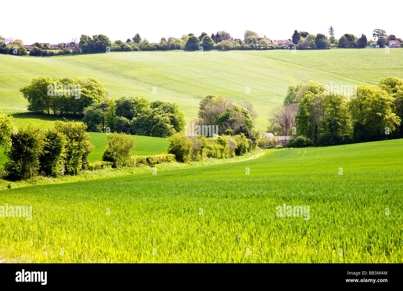 Vue sur les terres agricoles et des paysages variés dans le Wiltshire England UK Banque D'Images