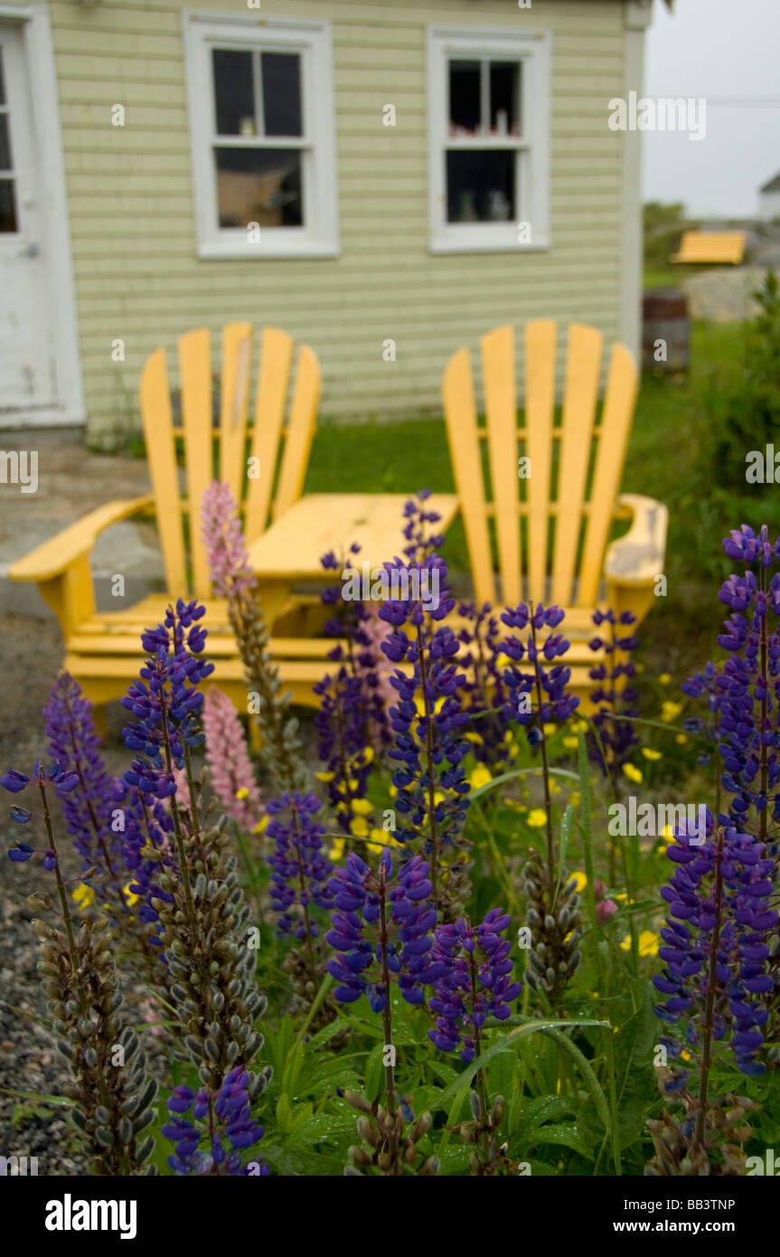 Le Canada, la Nouvelle-Écosse, Peggy's Cove. Chaises jaune avec lupin. Banque D'Images