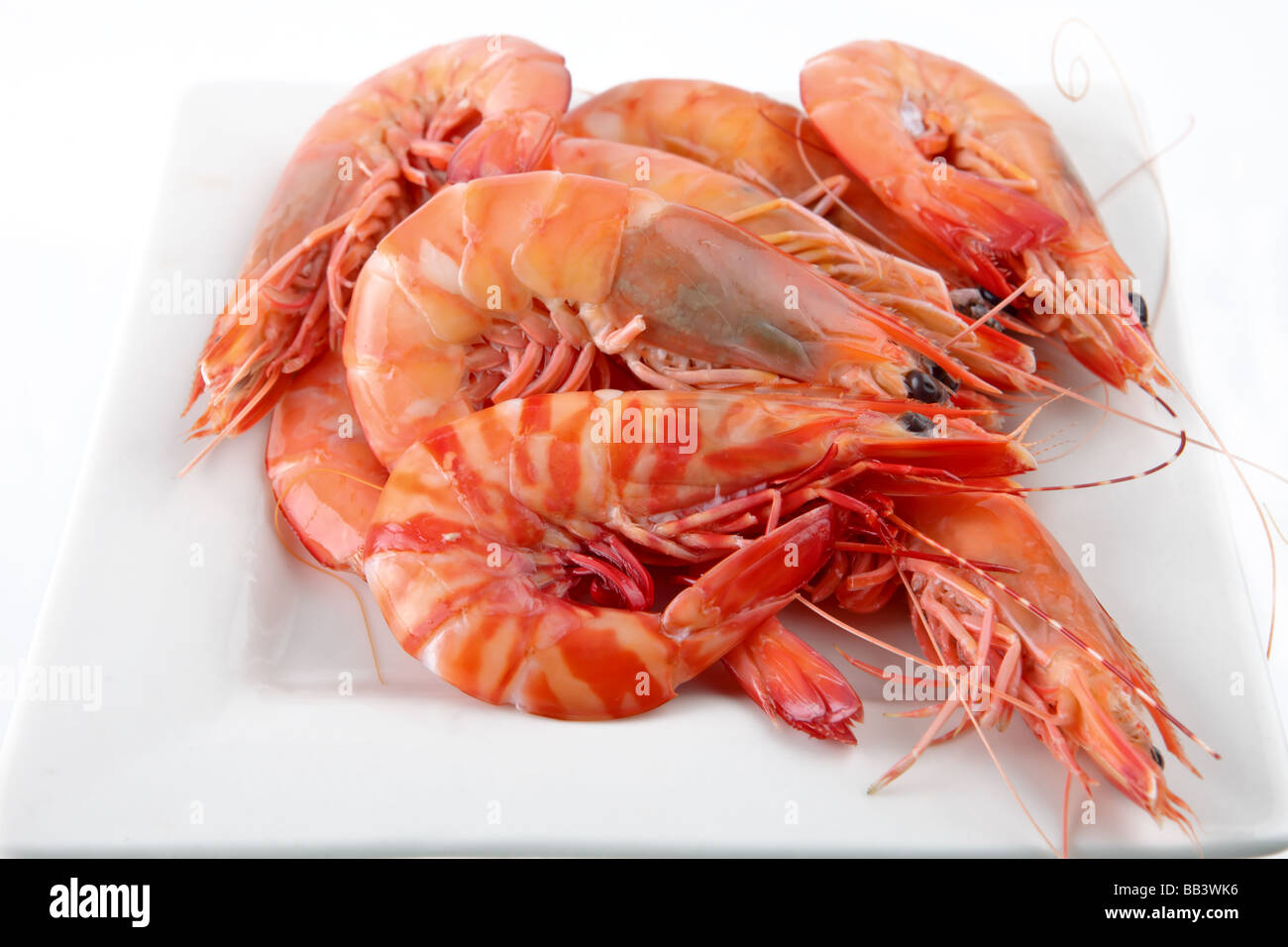 Gambas ou crevettes cuites dans une assiette et prêt à manger Photo Stock -  Alamy