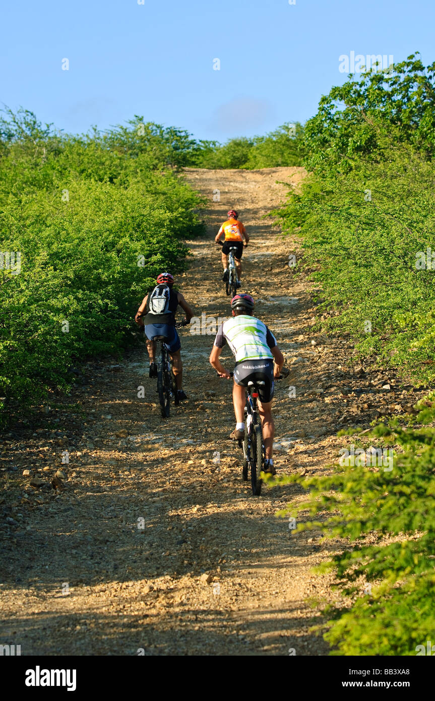 VTT dans le parc national de Washington Slagbaai, Bonaire Banque D'Images