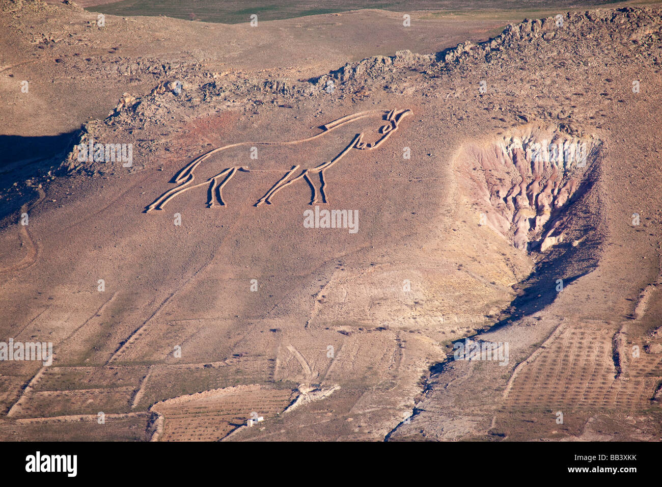 Cheval géant symbole sur la colline en Cappadoce Turquie prises d'un ballon à air chaud créé par l'artiste Andrew Rogers Banque D'Images