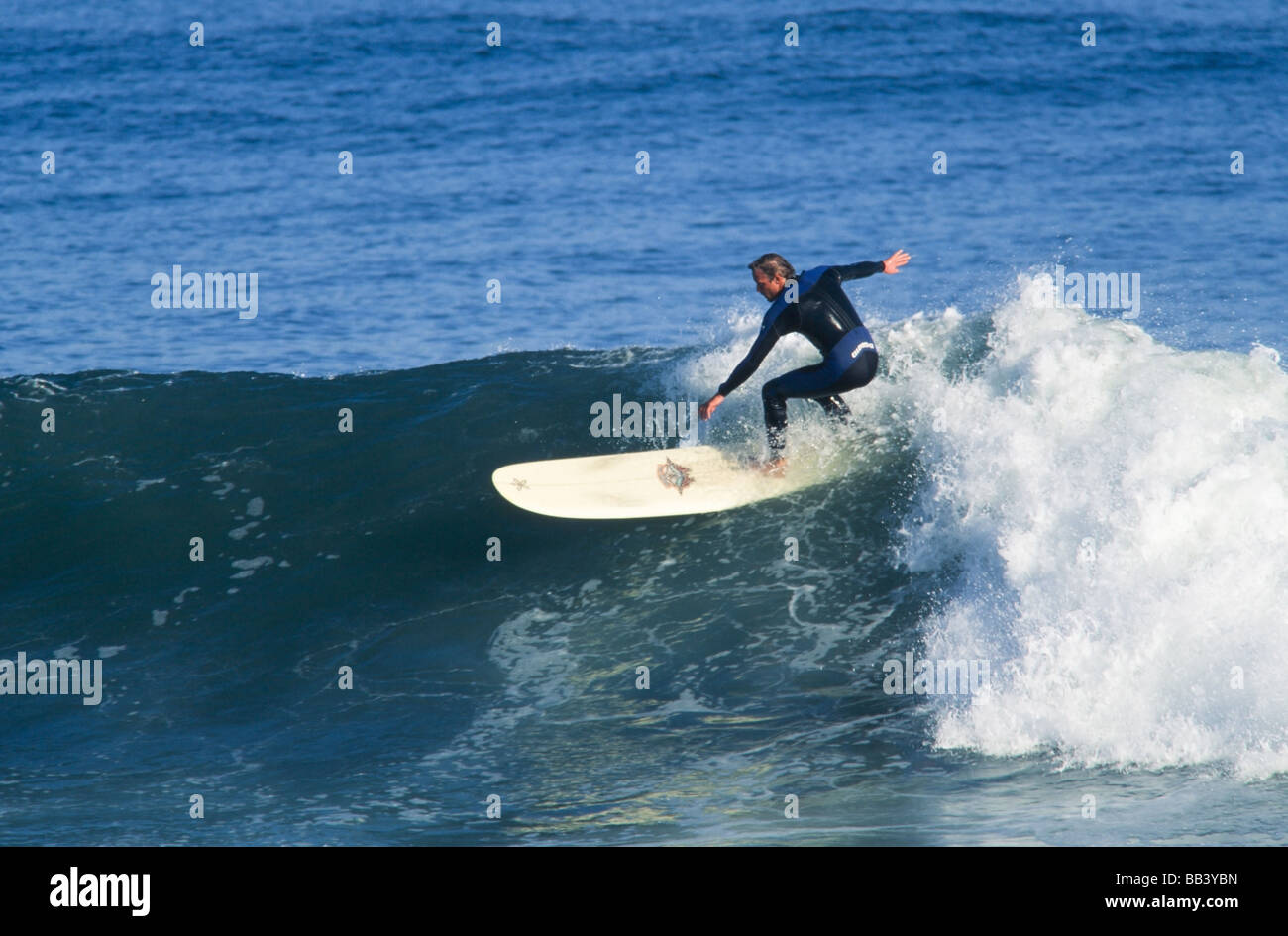 Surfer les vagues d'équitation,longboard, Baja California au Mexique Banque D'Images