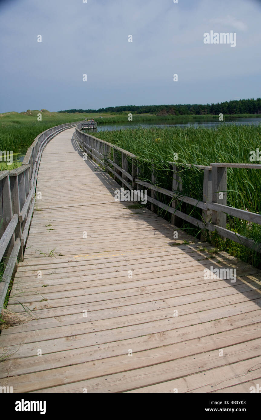 Le Canada, l'Île du Prince-Édouard NP, Plaine Maritime Région National. Greenwich, zone de dunes côtières Cavendish et les zones humides. Banque D'Images