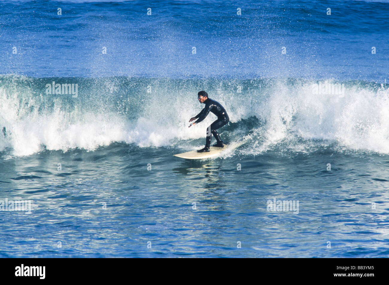 Surfer les vagues d'équitation,shortboard, Baja California au Mexique Banque D'Images