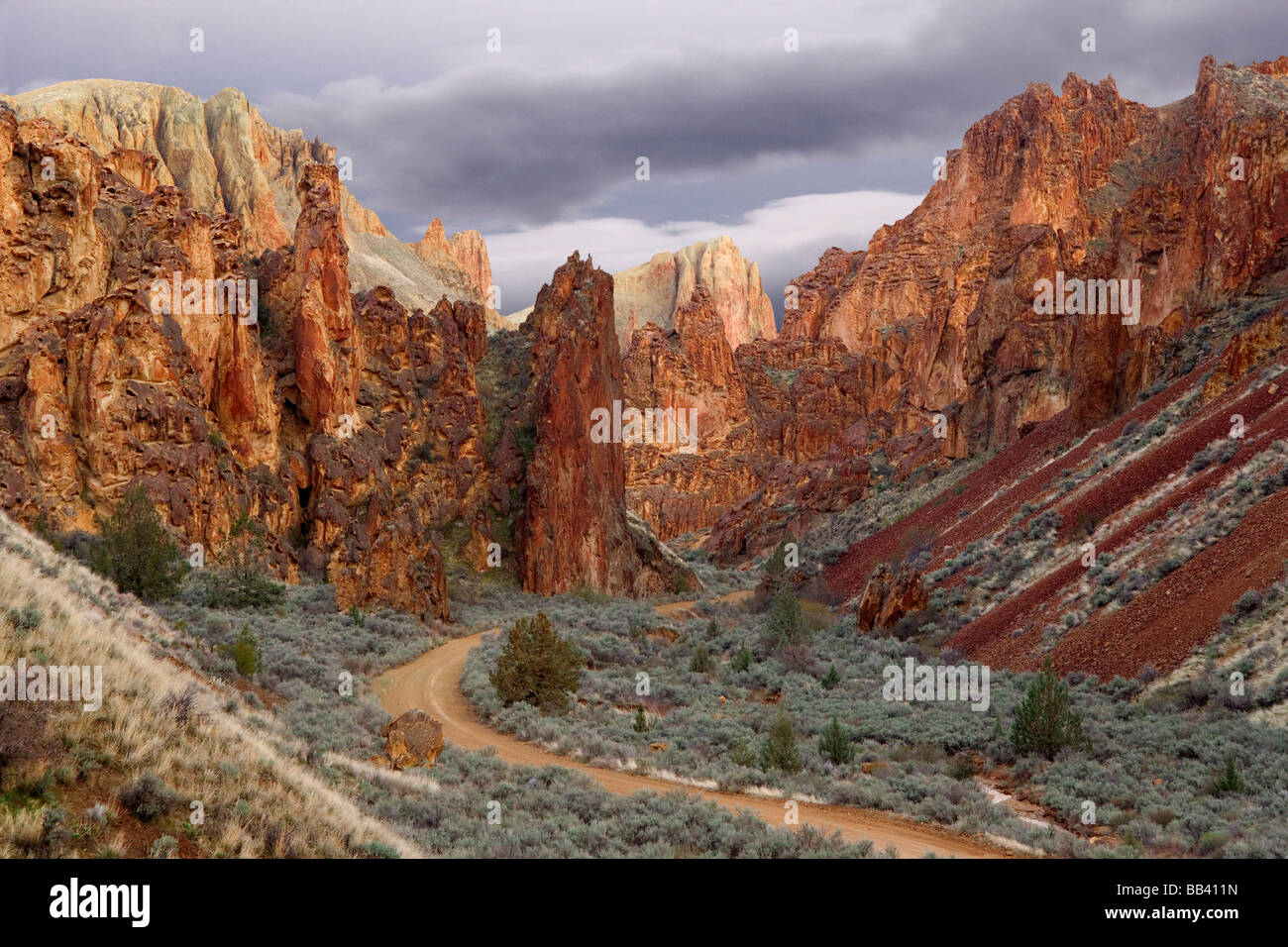 USA (Oregon). Avis de Leslie Gulch. Banque D'Images