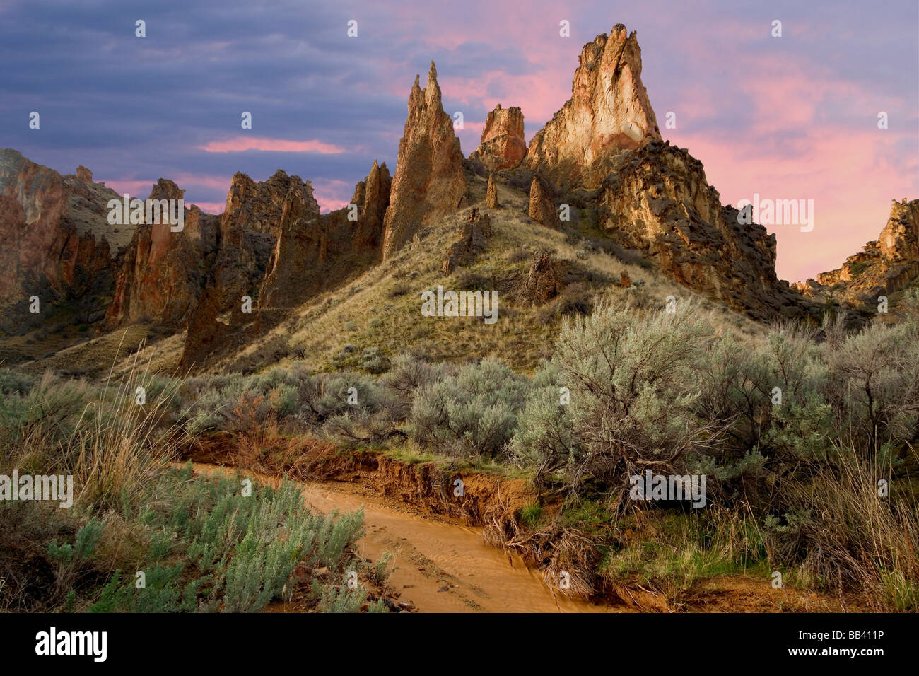USA (Oregon). Avis de Leslie Gulch. Banque D'Images