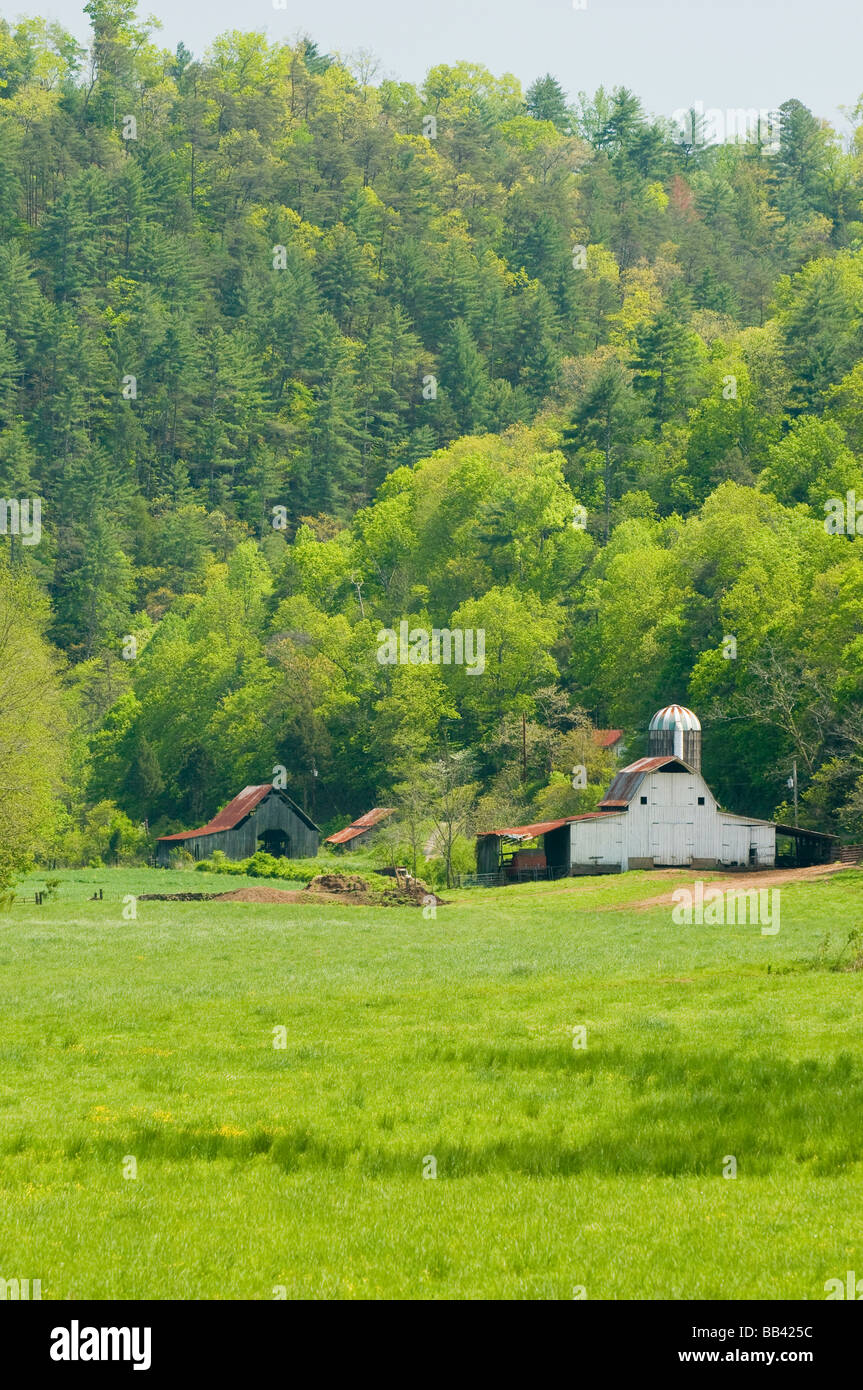 États-unis, TN, Cherokee National Forest. Scène pastorale dans Hiwassee River valley. Banque D'Images