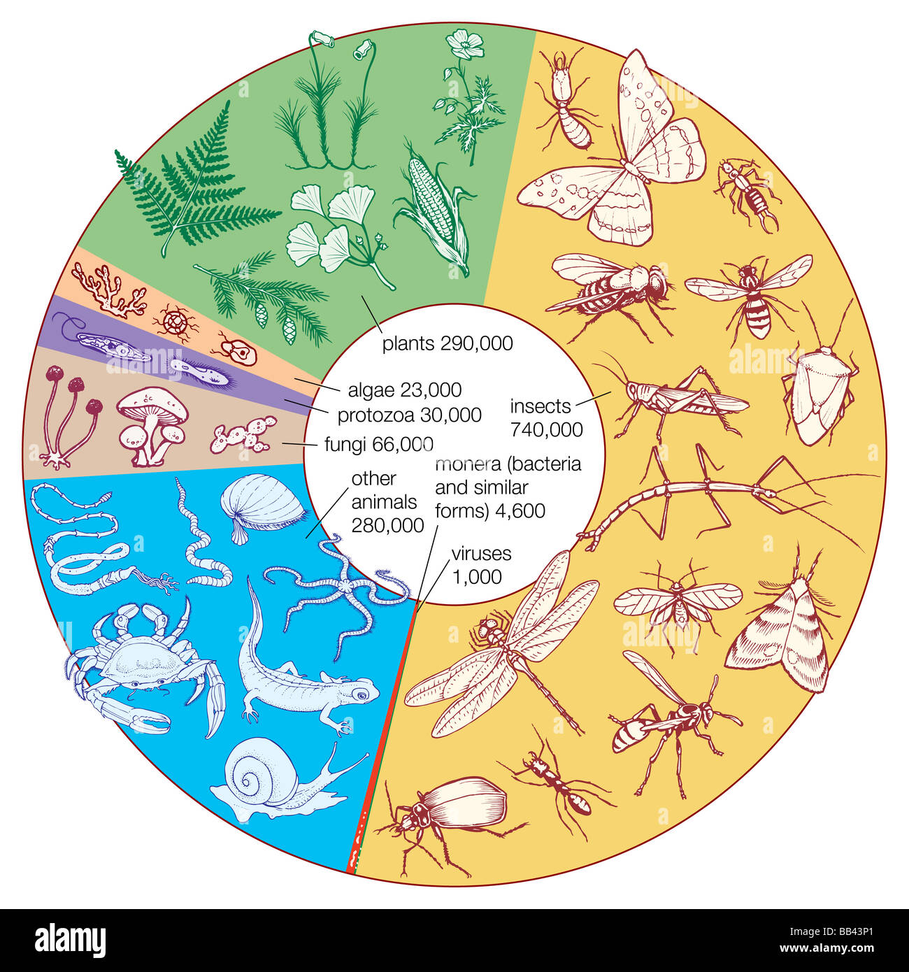 Estimation du nombre d'espèces vivantes connues. La plupart des espèces sont encore inconnus - c.-à-d., pas encore été décrites par les taxonomistes. Banque D'Images