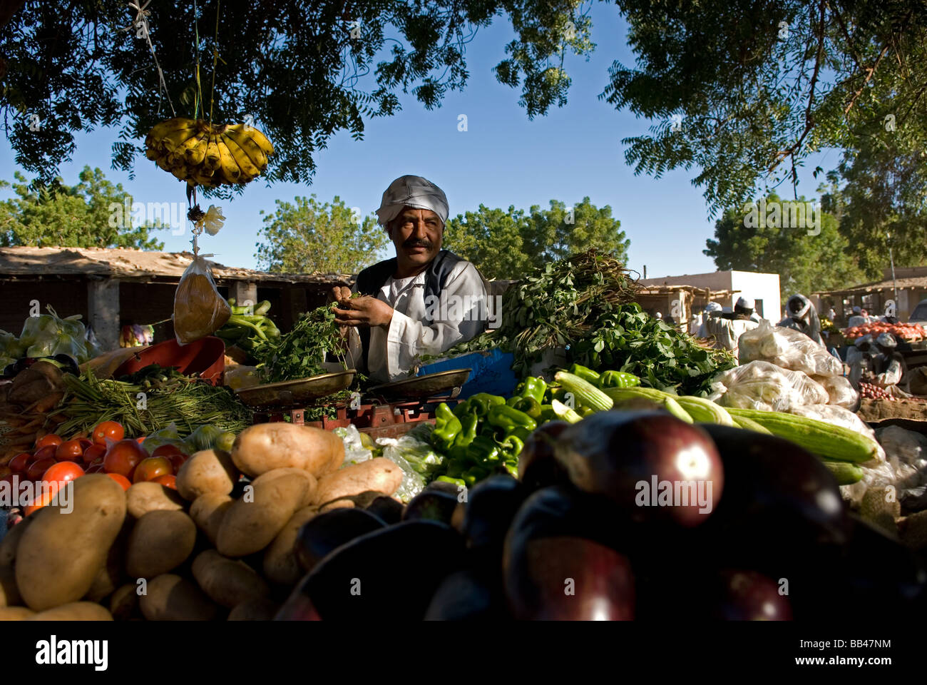 Vendeur de légumes, le nord du Soudan. Banque D'Images