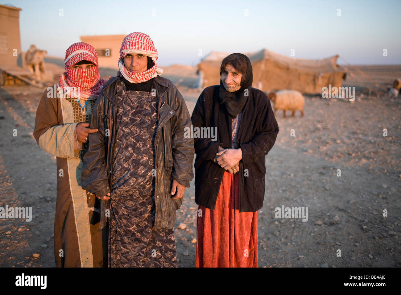 Portrait de femmes bédouines syriennes dans la région de Palmyra, Syrie. Banque D'Images