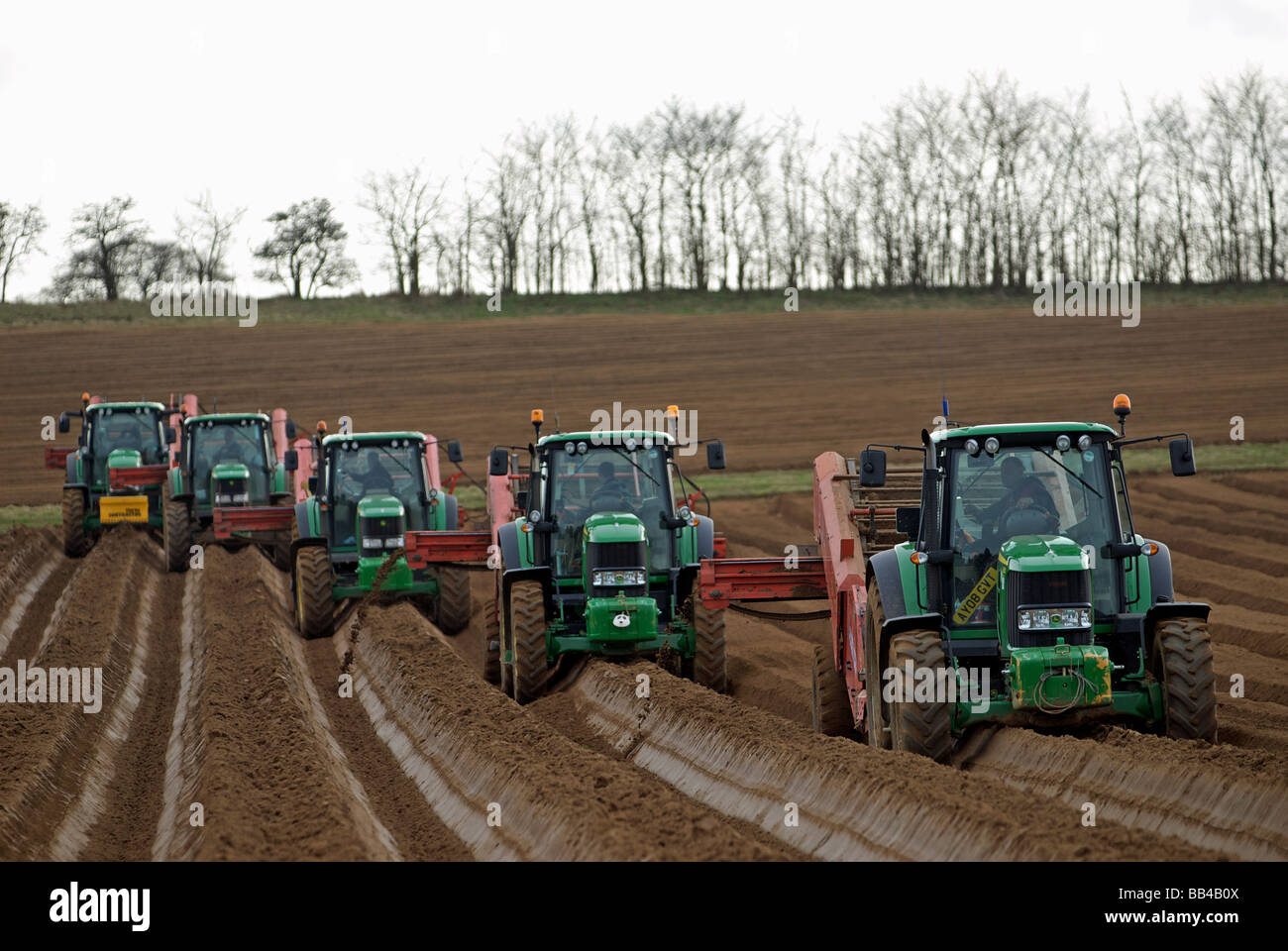 Grande échelle de-lapidation de terres agricoles, Sutton Heath, Suffolk, UK. Banque D'Images