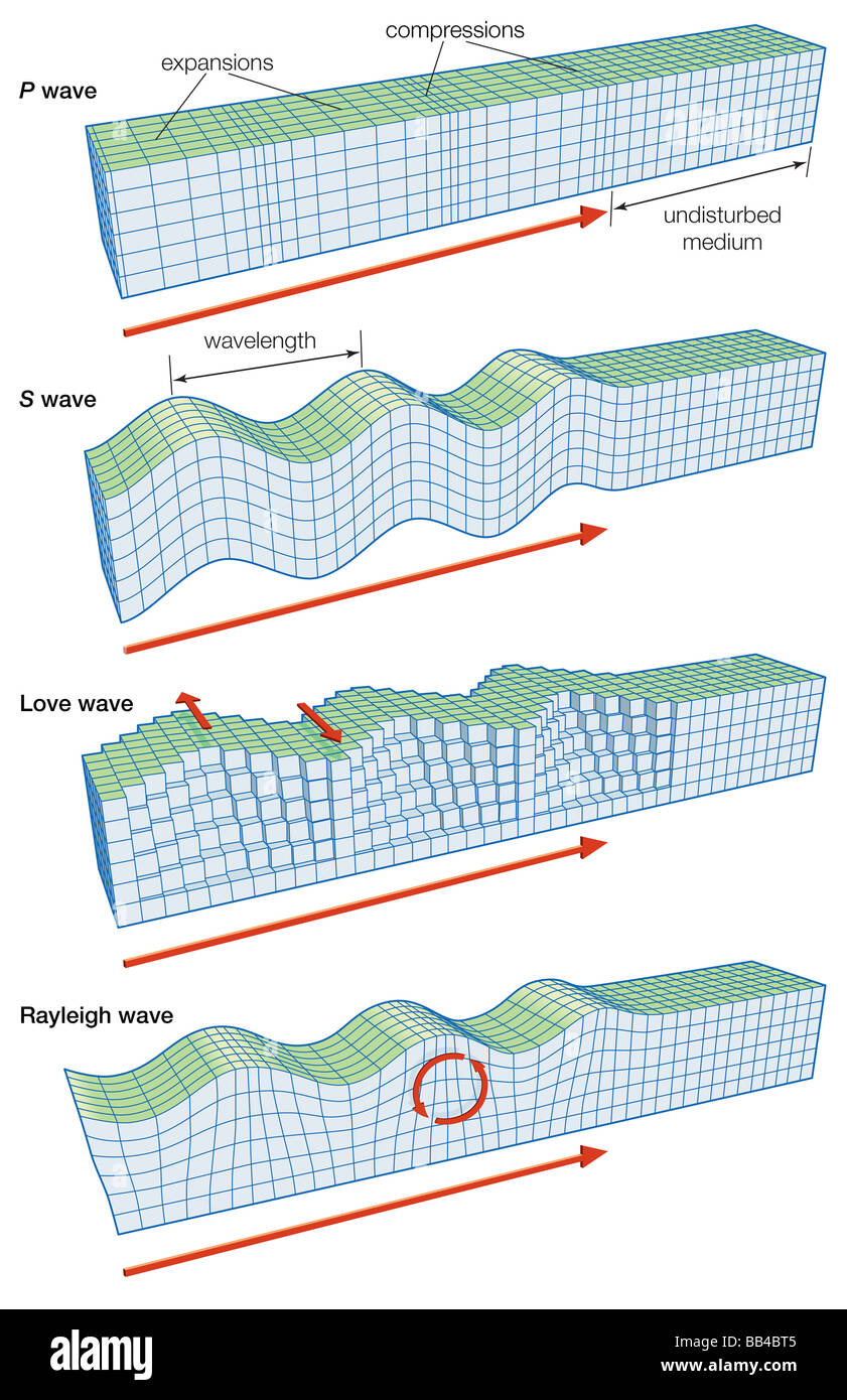 Les principaux types d'ondes sismiques : P, S, l'amour, et de Rayleigh. Banque D'Images