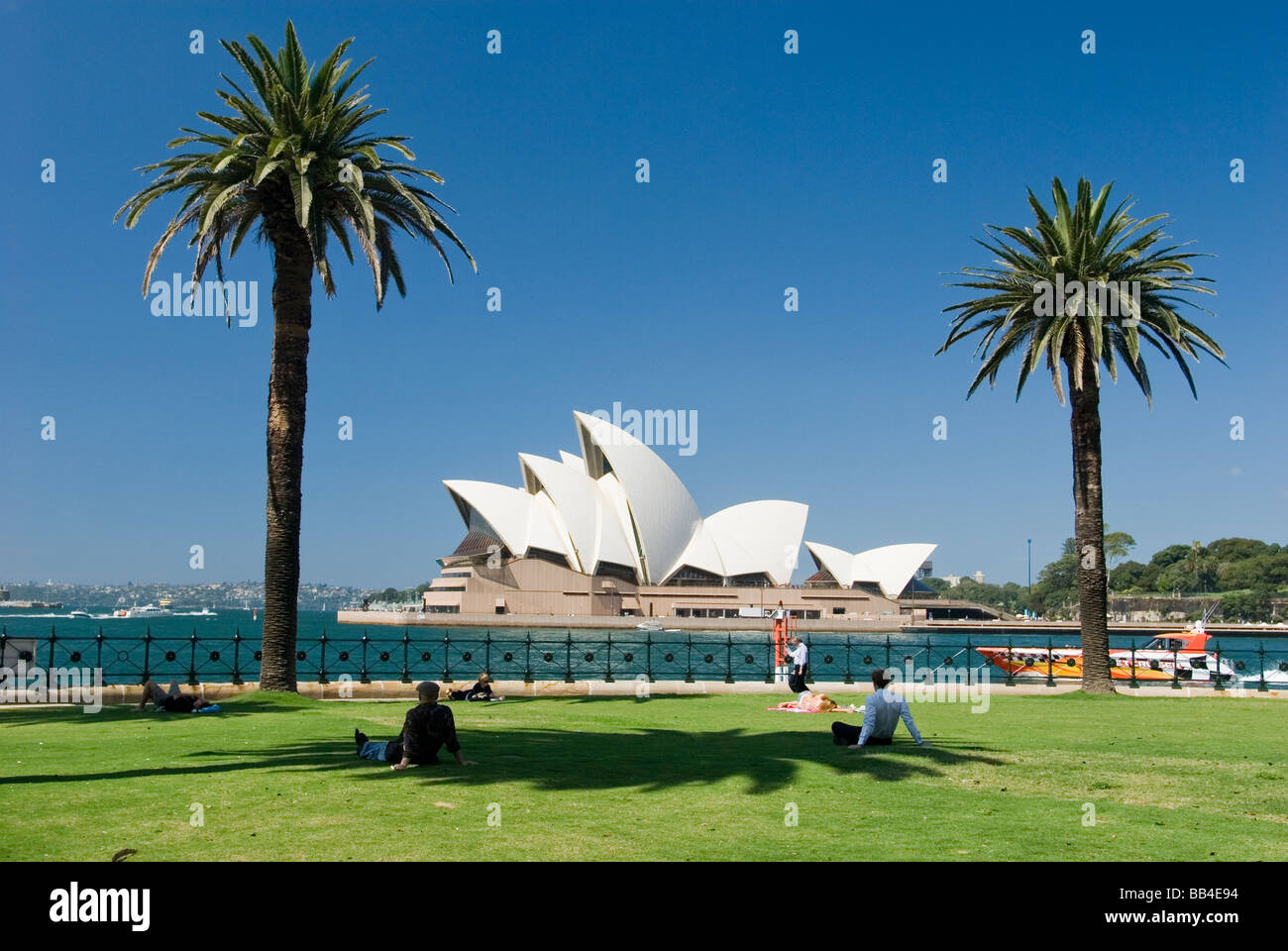 Palmiers et d'Opéra. The Rocks et Circular Quay, Sydney, Australie. Banque D'Images