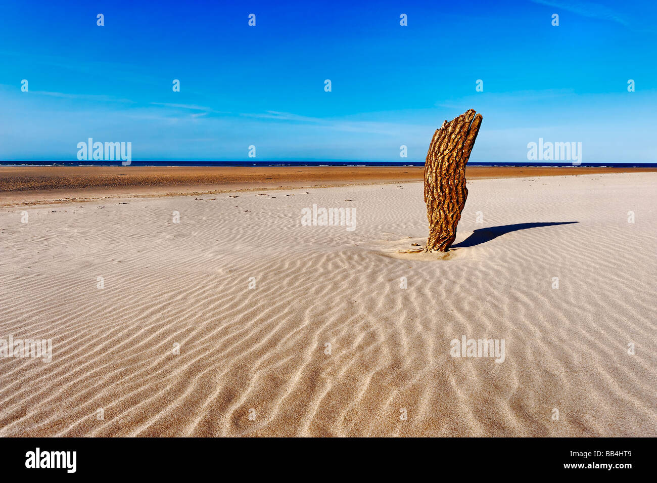 Plage déserte à Budle Bay près de Northumberland à Bamburgh Banque D'Images
