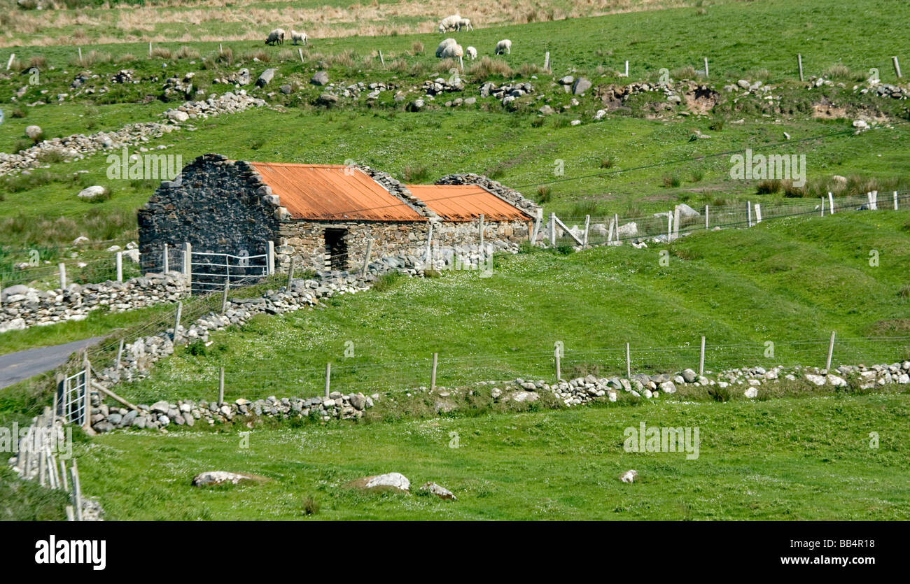 L'Europe, l'Irlande, dans le comté de Mayo, Barnabaun Point. Campagne irlandaise avec mur en pierre et la maison au toit rouge. Banque D'Images