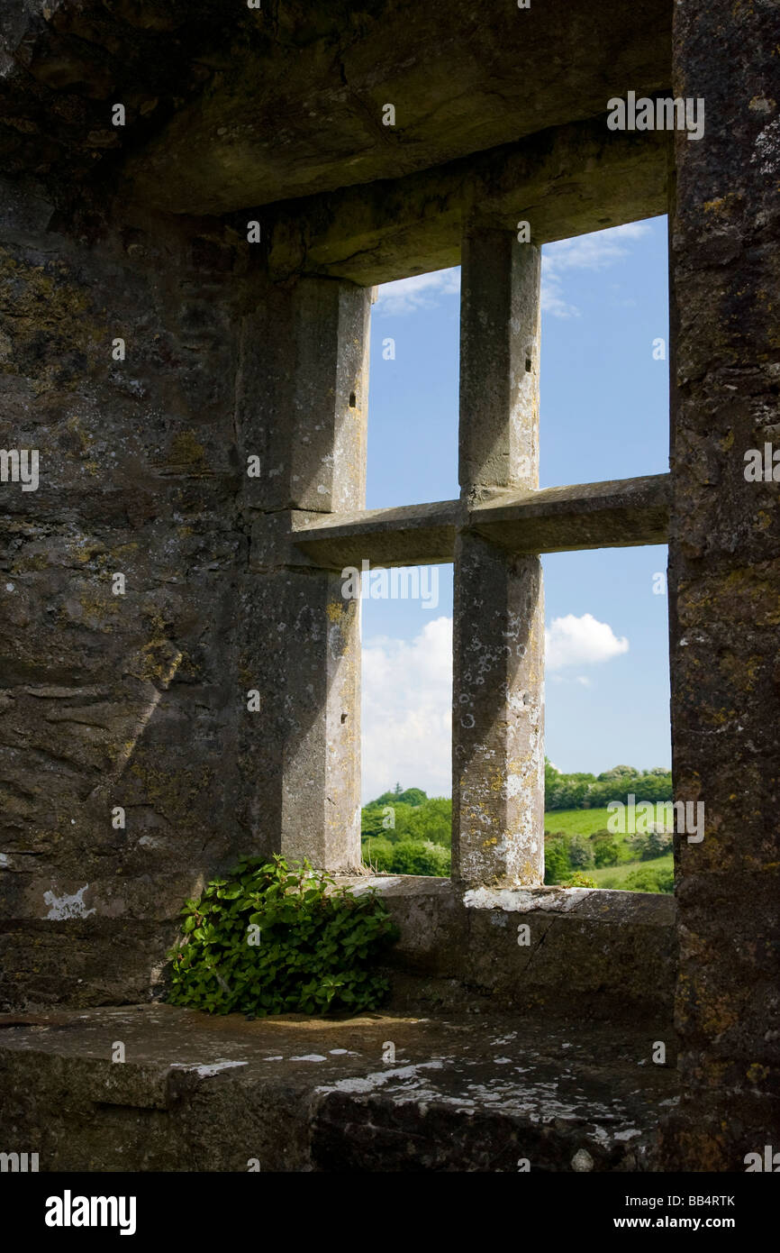 Europe, France, Mayo, Charles. À la recherche d'une fenêtre de l'église en pierre à la campagne irlandaise. Banque D'Images