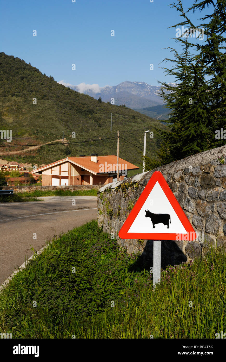 Panneau d'avertissement de vache à Potes, Cantabria, ESPAGNE Banque D'Images