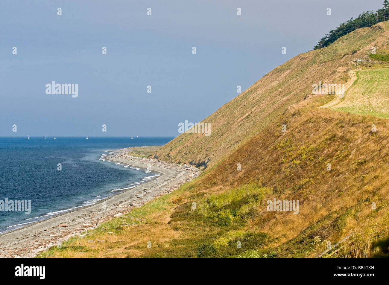 USA WA Whidbey Island. Falaises spectaculaires de Ebey's Landing et les voies d'expédition de Détroit de Juan de Fuca. Lone beachcomber & chien. Banque D'Images