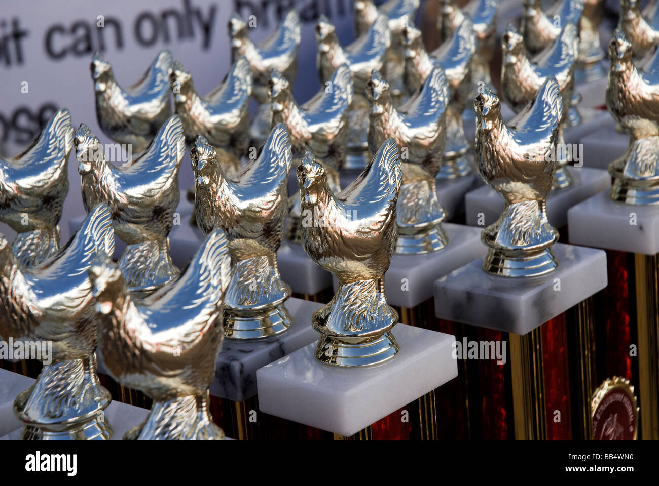 Plante annuelle Strawberry Festival City en Floride trophées pour le bétail à l'affiche au festival Banque D'Images