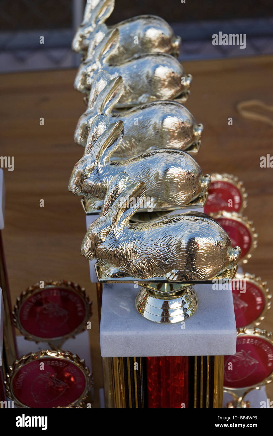 Plante annuelle Strawberry Festival City en Floride trophées pour le bétail à l'affiche au festival Banque D'Images