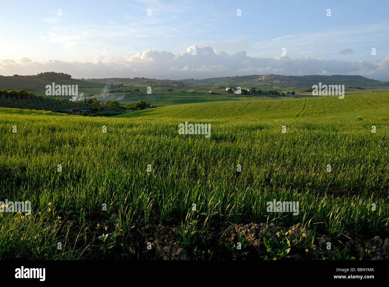 Vue panoramique d'une grande beau paysage près de medieval (une fois) village étrusque Bibbona, Toscane, Italie Banque D'Images