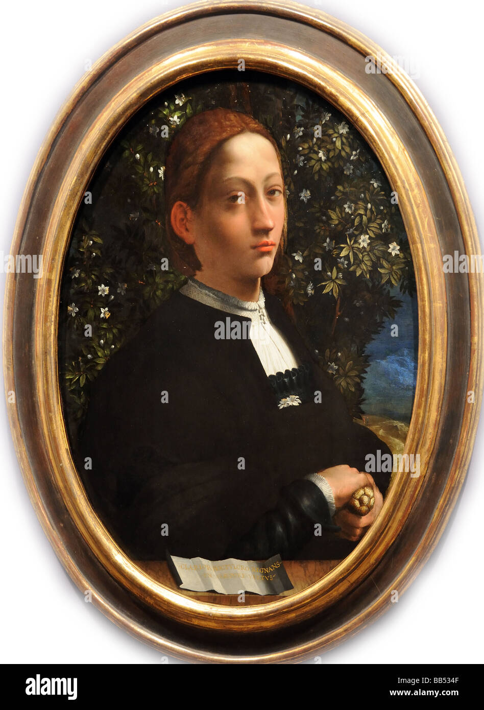 Rare et unique portrait de Lucrèce Borgia à National Gallery Victoria Melbourne Australie peinte autour de 1520 par Dosso Dossi Banque D'Images