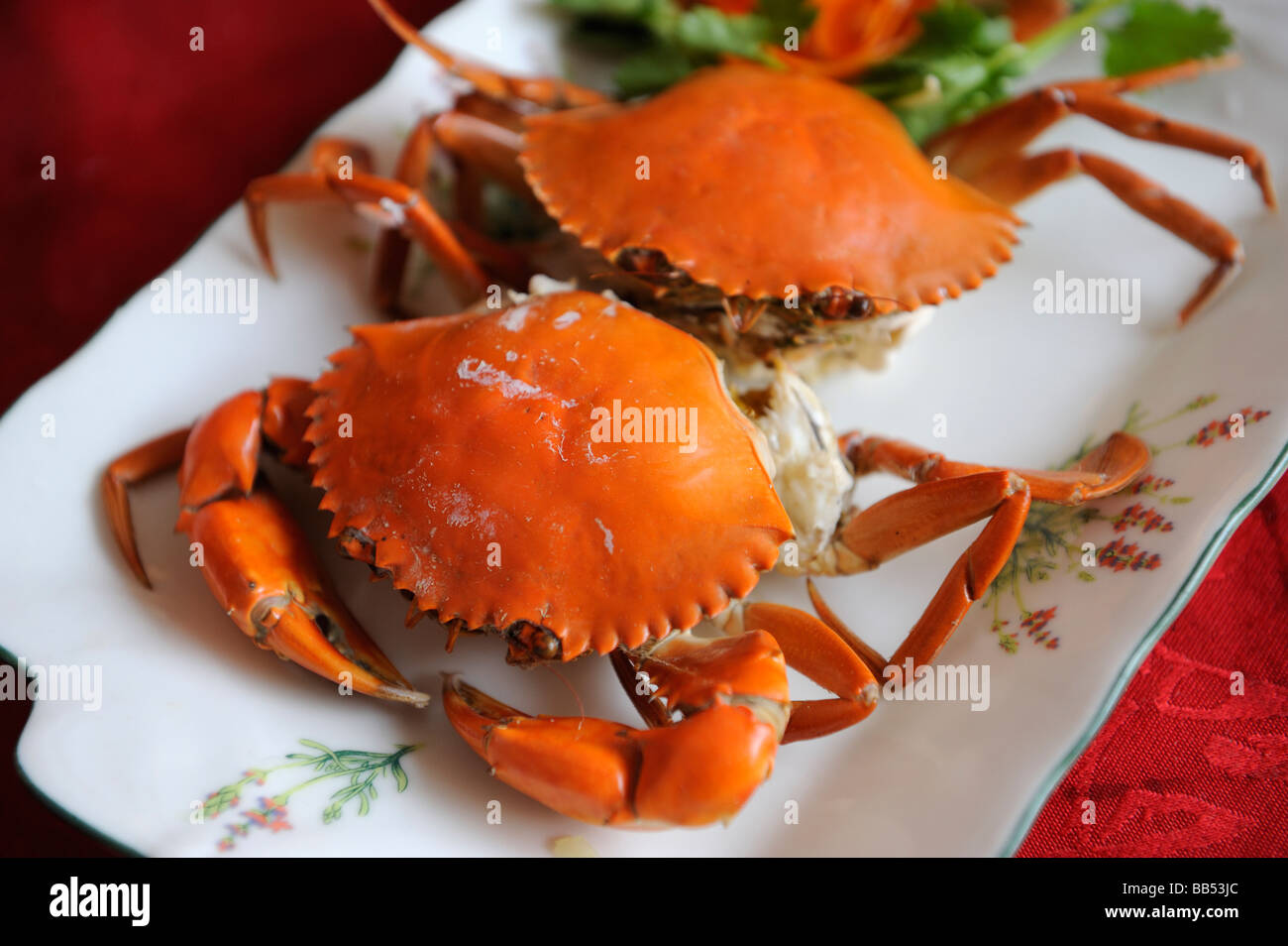 Close up d'un plat de crabe à la vapeur à Quanzhou, Fujian, Chine. Banque D'Images