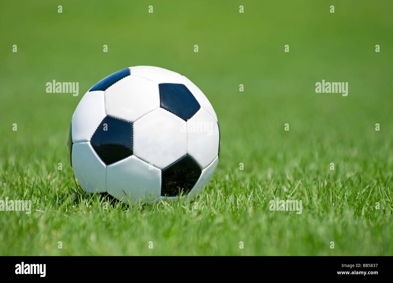 Ballon de soccer dans le champ d'herbe Banque D'Images