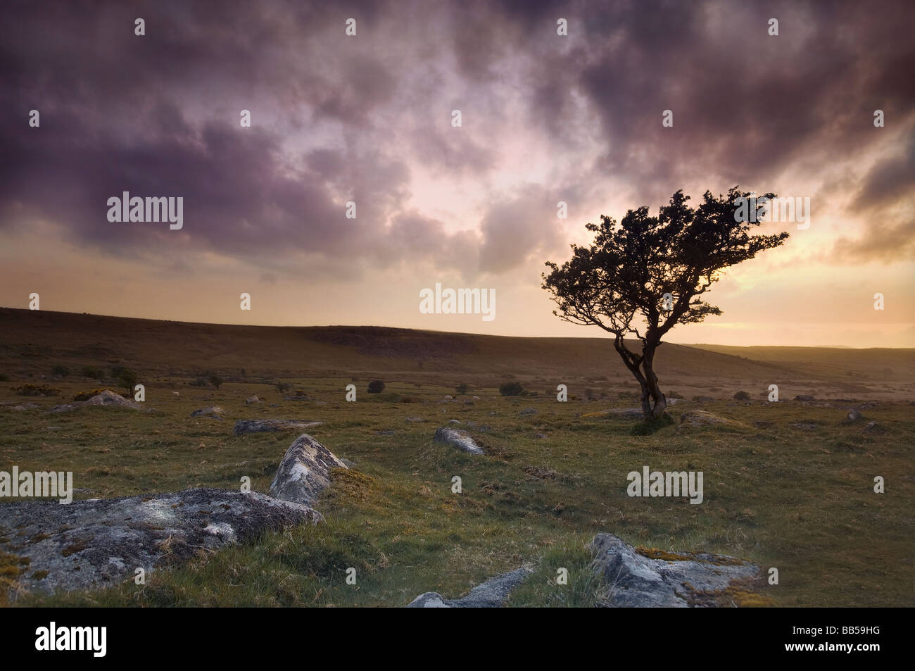 Bodmin Moor Banque D'Images