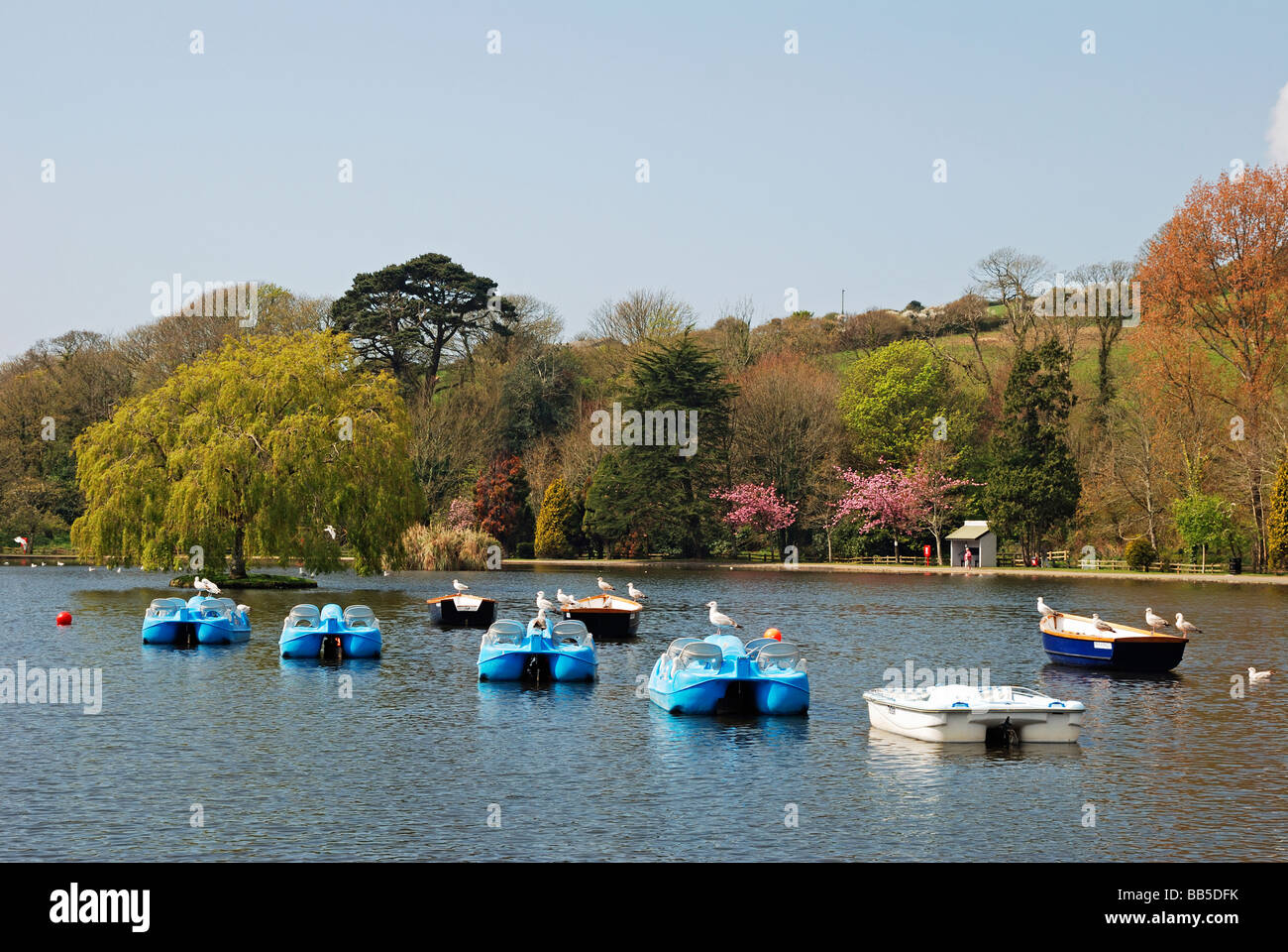 Le lac de plaisance dans le parc Coronation helston, Cornwall, Royaume-Uni Banque D'Images