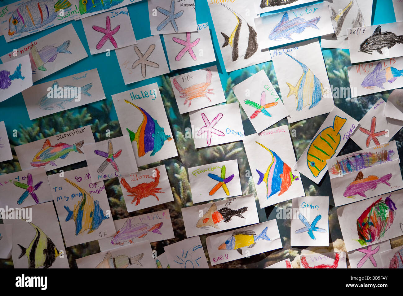 Dessins de créatures de l'océan par l'école de catégorie enfants Célébration Jour de la Terre, Santa Barbara, Californie, États-Unis d'Amérique Banque D'Images