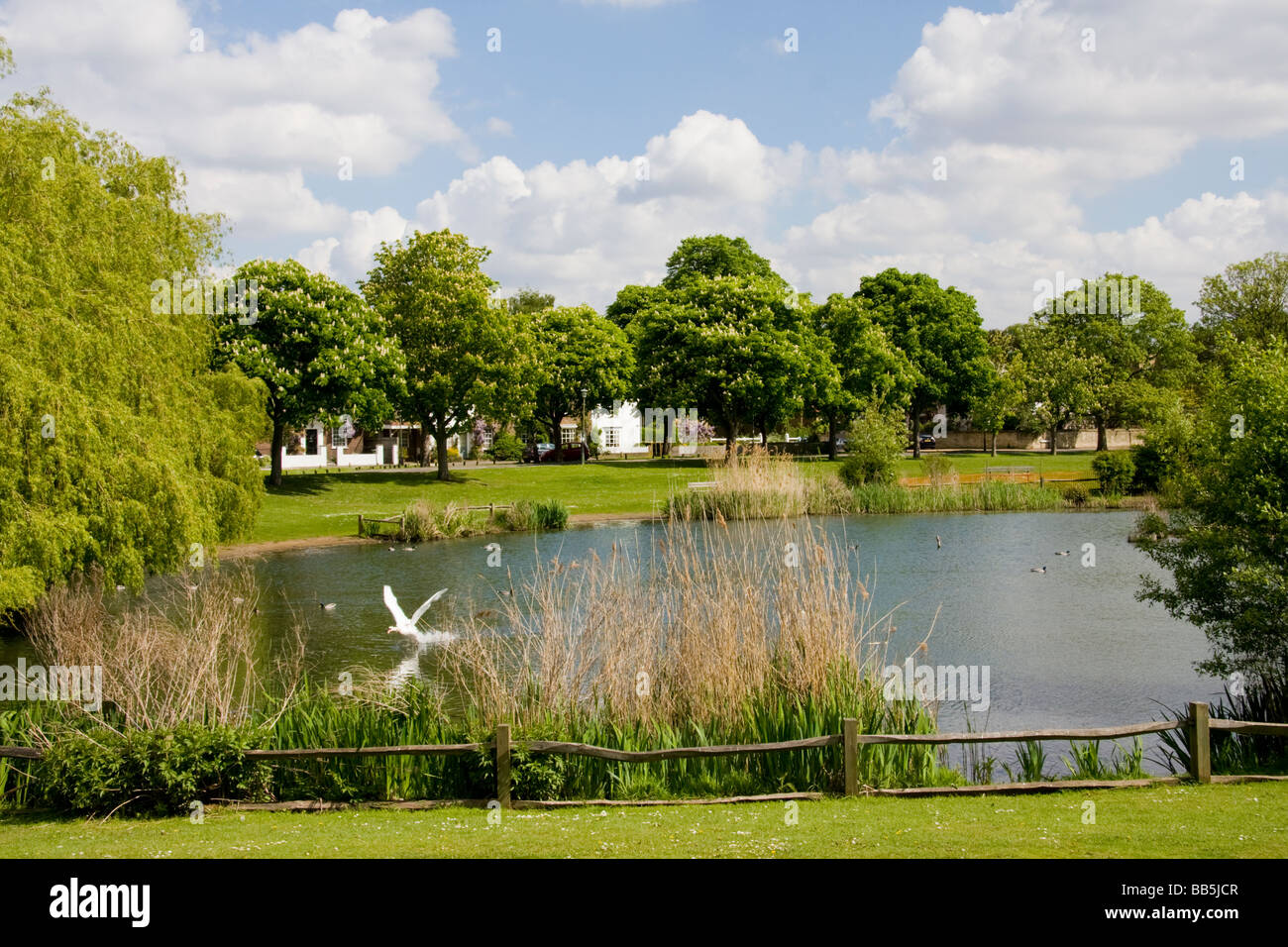 Commune de jambon Richmond upon Thames Surrey England Banque D'Images