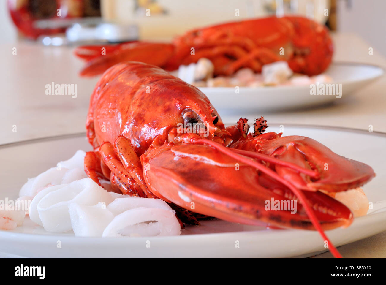 Homard Banque D'Images