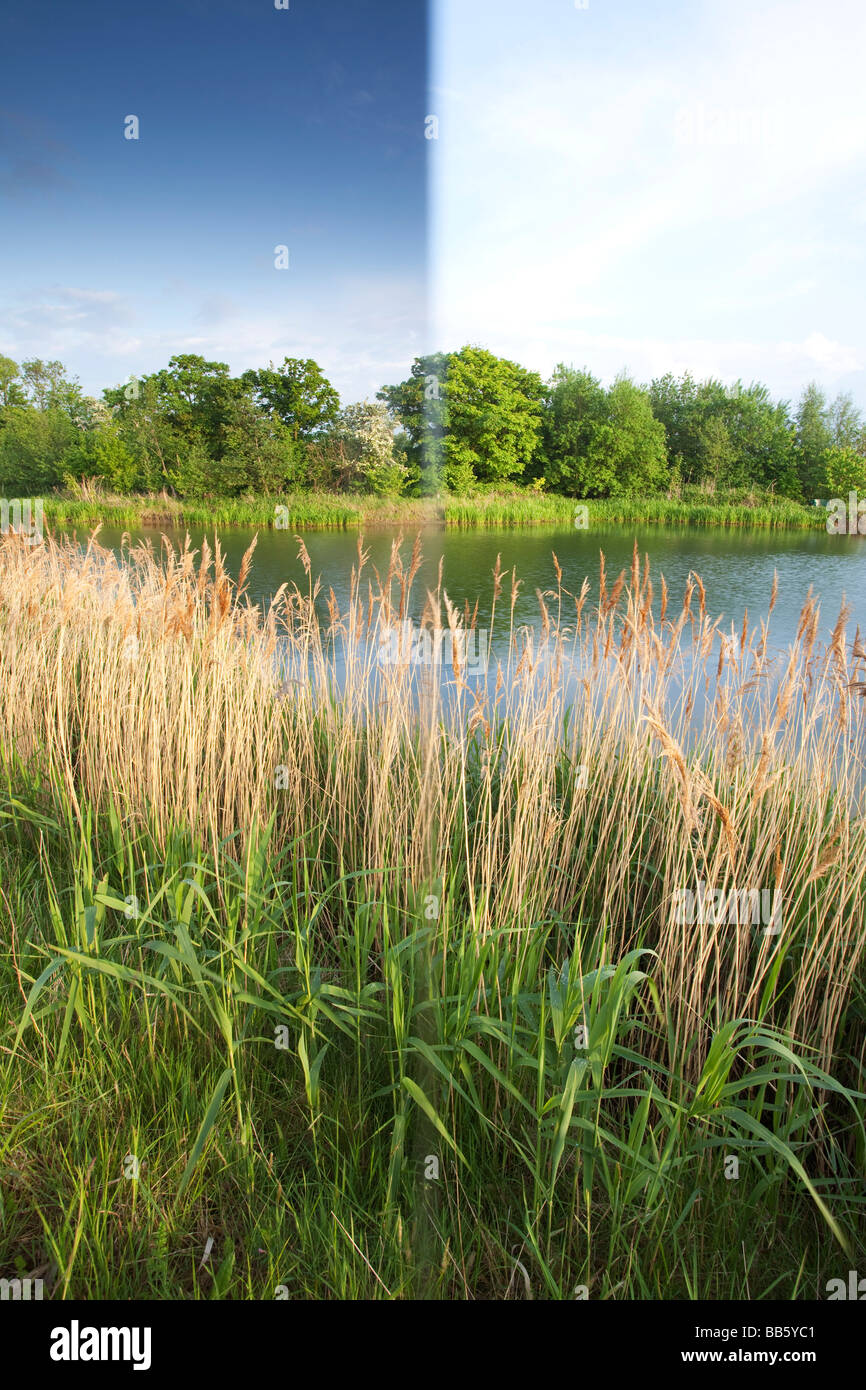 Le bord de l'eau Parc De Pays à Barton upon Humber dans le Nord du Lincolnshire Banque D'Images