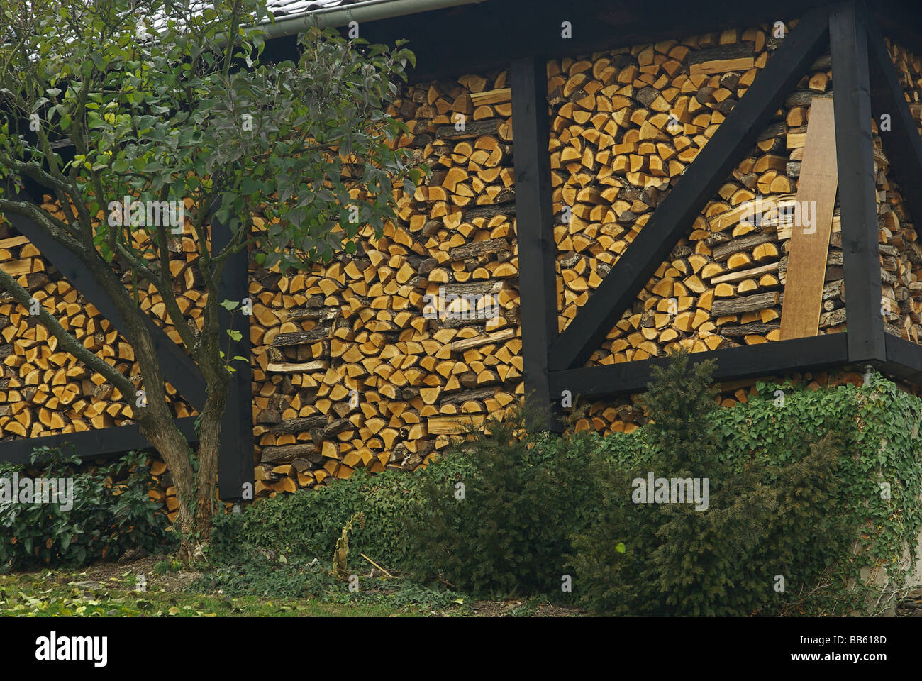 Holzstapel pile de bois 23 Banque D'Images