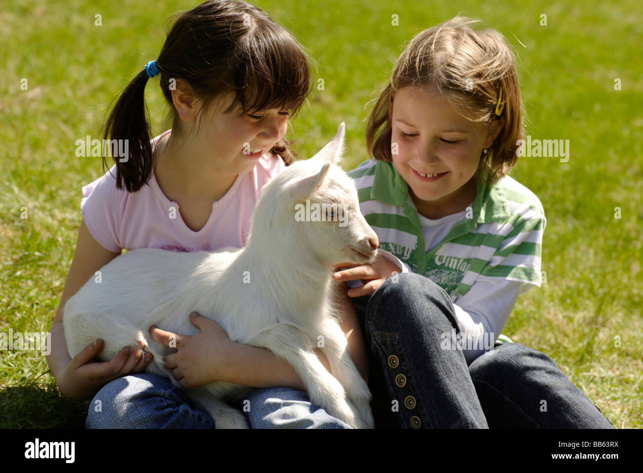 Les filles hugging chèvres en herbe Banque D'Images