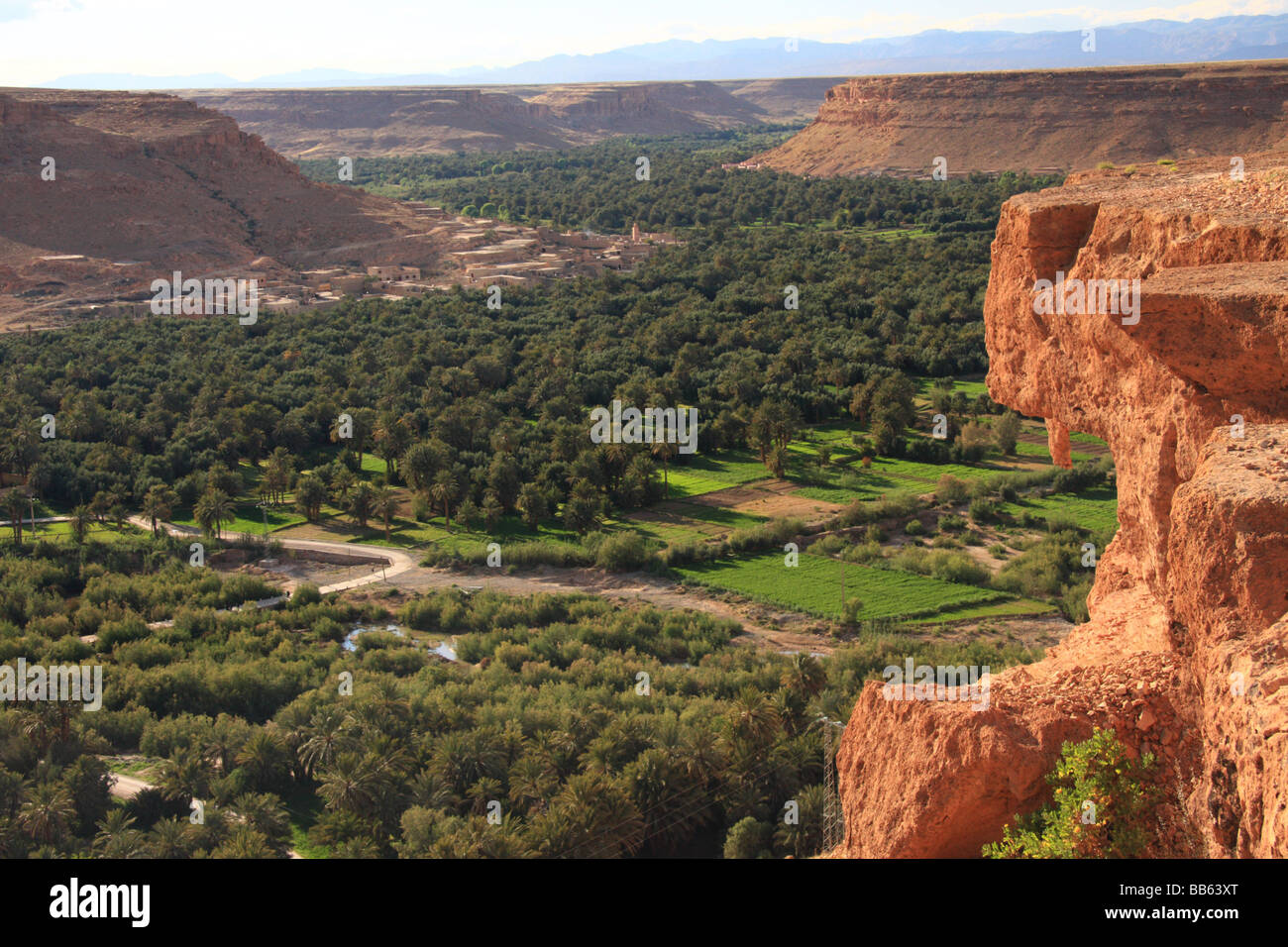Voir d'oasis irriguée/Ceinture de verdure le long de la rivière Ziz Ziz dans la gorge, le Maroc, l'Afrique du Nord Banque D'Images