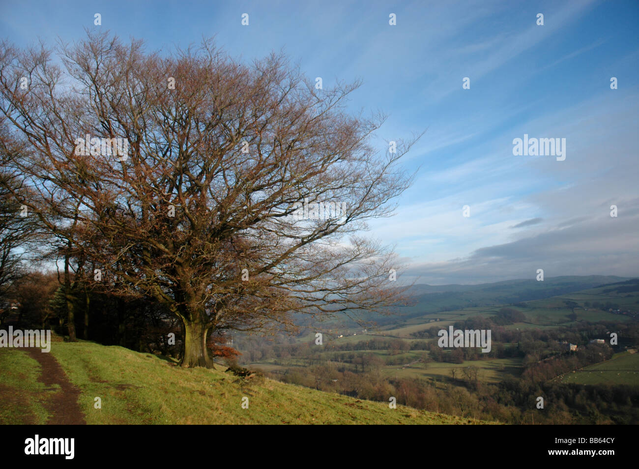 Vue depuis la crête de Kerridge dans une vallée de champs verts luxuriants Banque D'Images