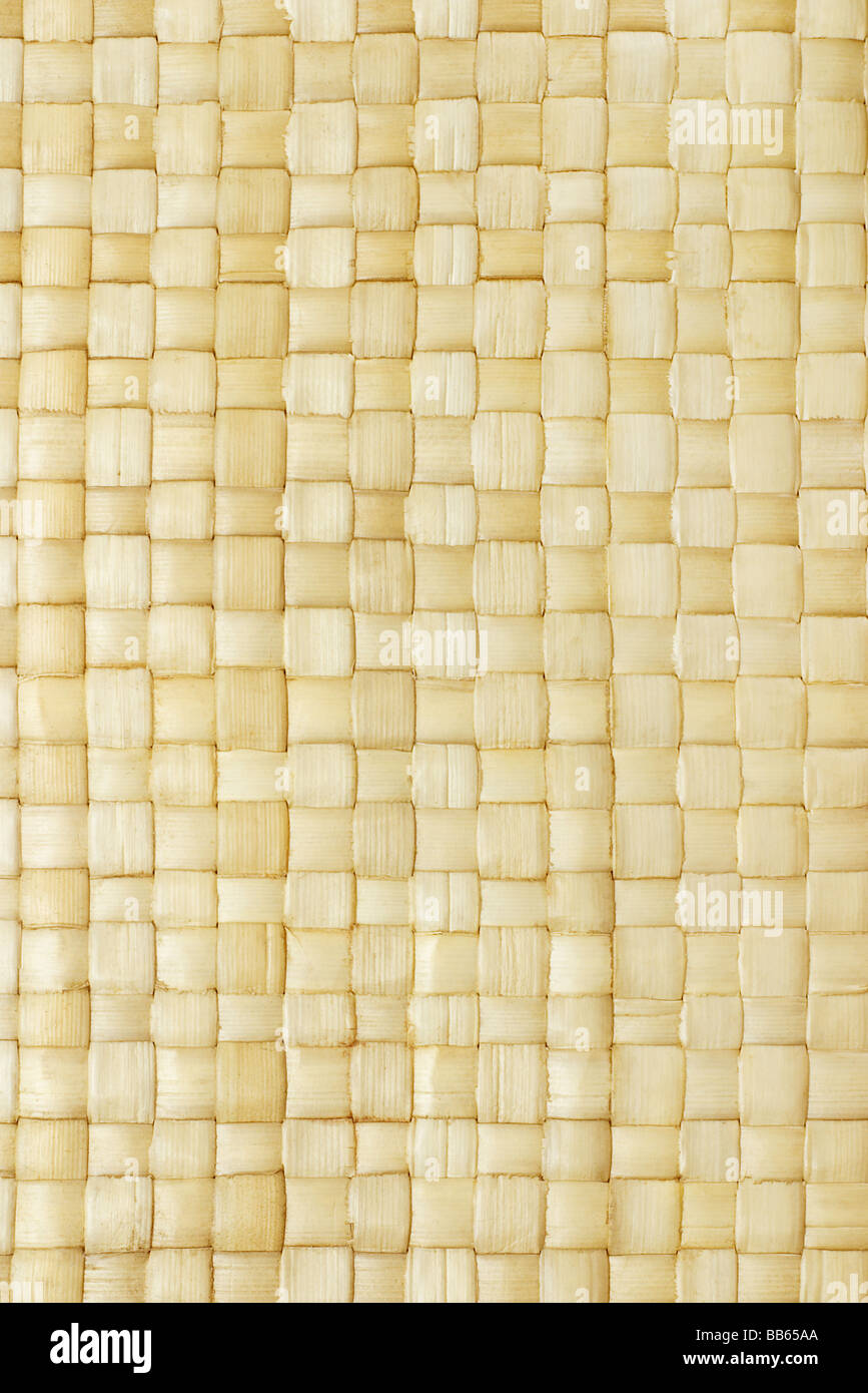 Close up de feuilles de palmier tissées texture mat pour le fond Banque D'Images