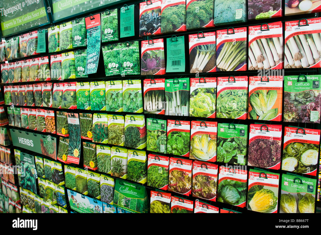 Graines pour la vente à un centre de jardinage en Grande-Bretagne Banque D'Images