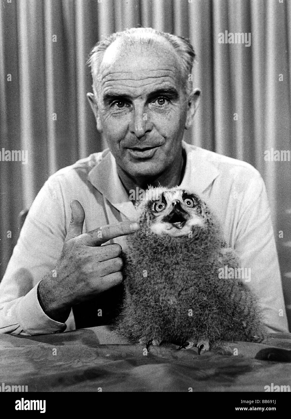 Grzimek, Bernhard, Prof. Dr., 24.4.1909 - 13.3.1987, zoologiste allemand, demi-longueur, avec oiseau, dans l'émission de télévision 'Ein Platz fuer Tiere' (un endroit pour les animaux), 1950, Banque D'Images