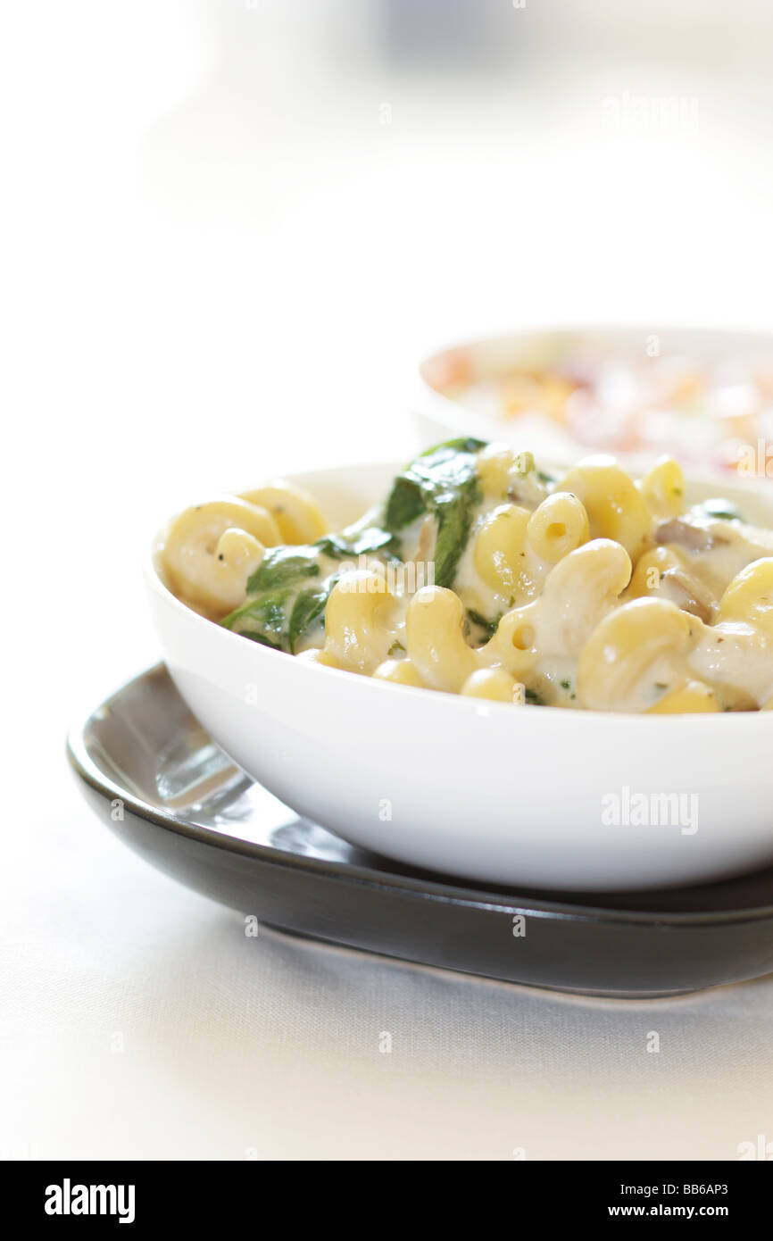 Plats préparés ou cuits macaronis à l'Italienne Pâtes avec sauce au fromage contre un fond blanc avec un chemin de détourage et aucun peuple Banque D'Images