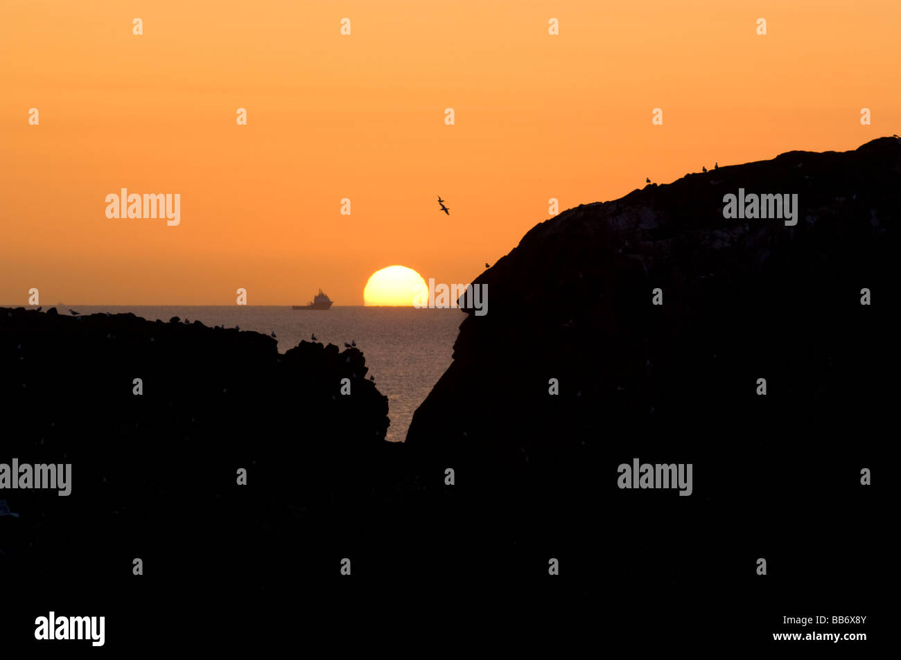 Côte Rocheuse à Dunbuy, Aberdeenshire, avec un navire d'approvisionnement de l'industrie de l'huile dans la distance que le soleil se lève sur la mer du Nord. Banque D'Images