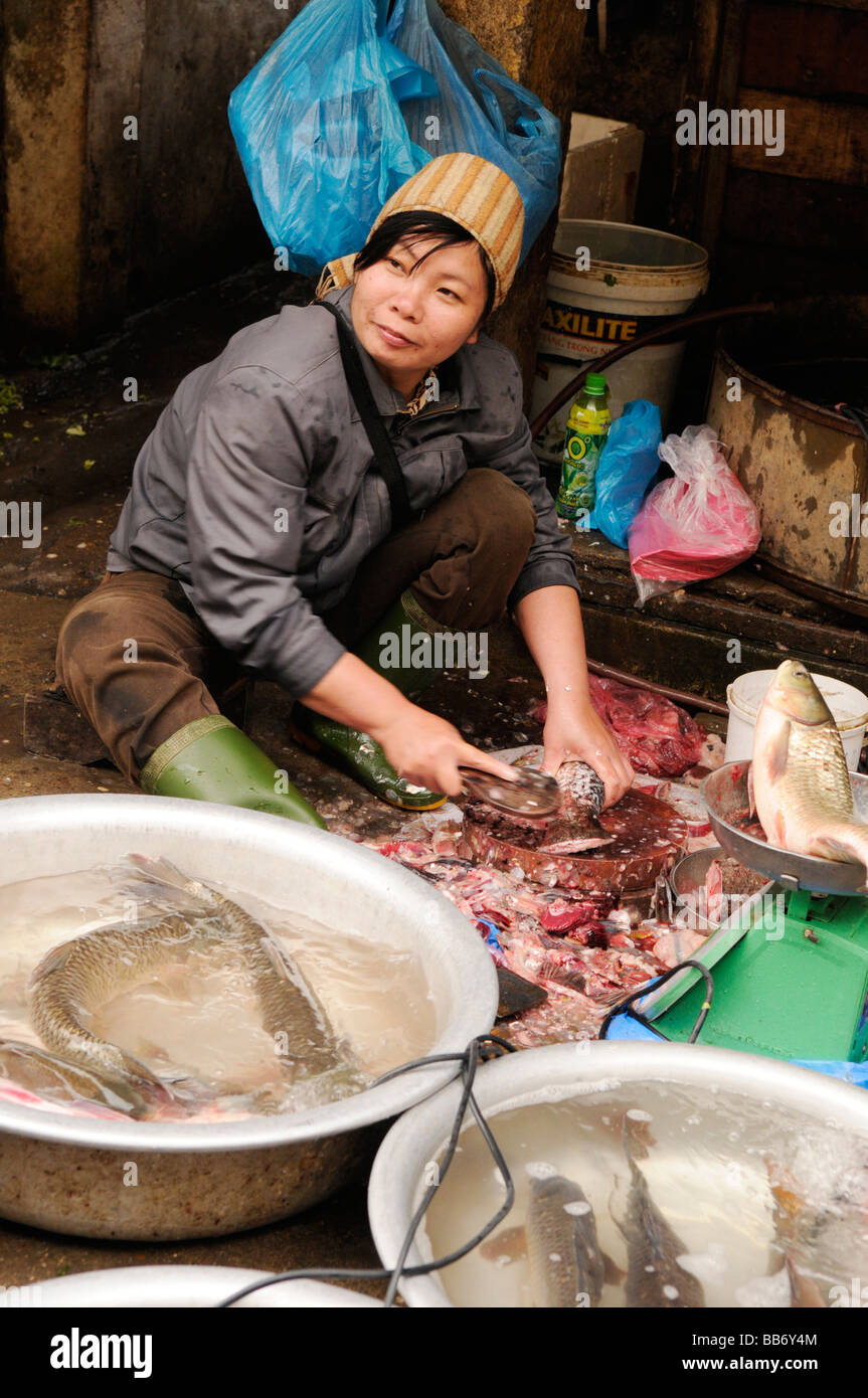 Vendeur de poisson au marché du frais matin dans le vieux quartier, Hanoi, Vietnam. Banque D'Images