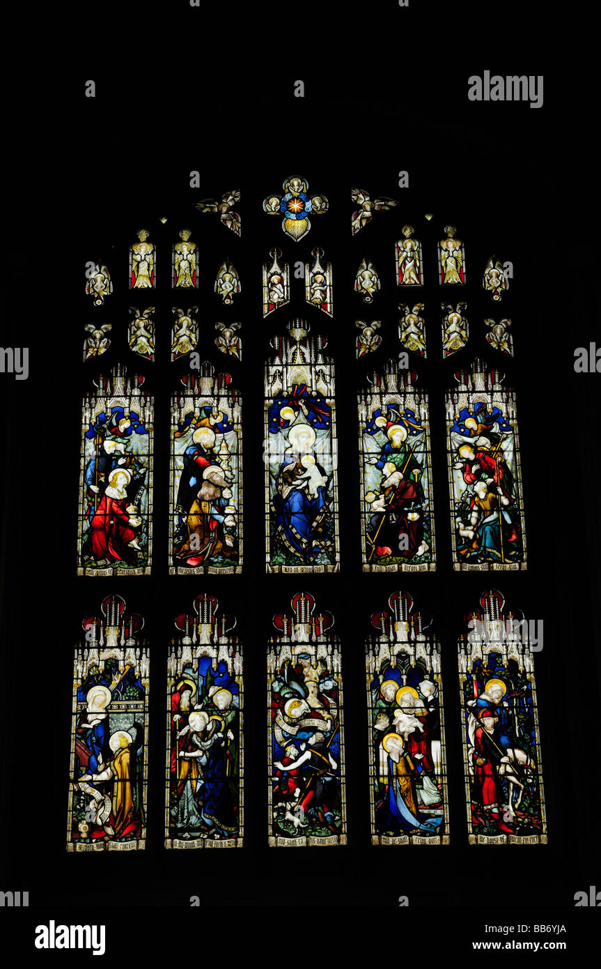 Vitrail dans grande de l'église St Mary, Cambridge, England Uk Banque D'Images