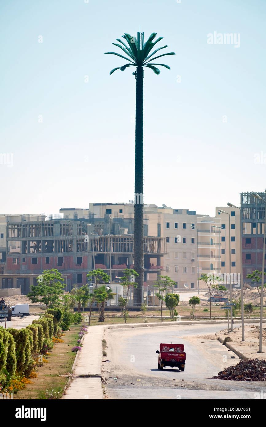 Téléphone mobile antenne réseau déguisé en palmier, Kayameya, le Nouveau Caire, Egypte Banque D'Images