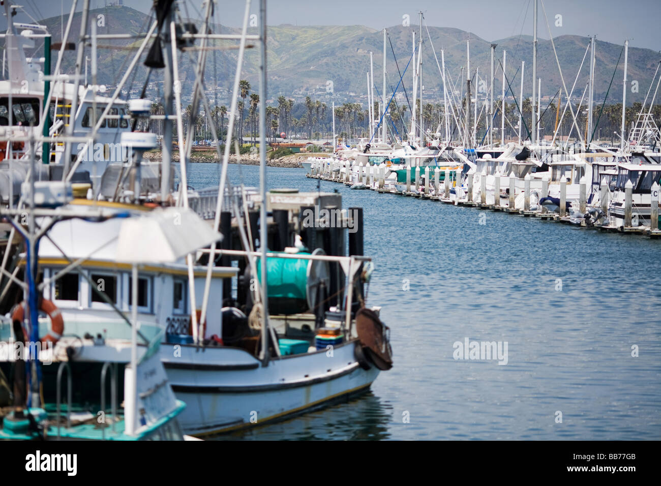 Bateaux de pêche alignés dans le port à Ventura, Californie Banque D'Images